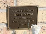 image of grave number 803254